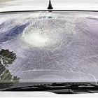 Auto Glass Dynamics