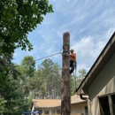 Precision Tree Care & Landscaping - Tree Service