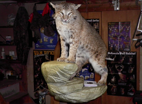 GLORIOSO WILDLIFE MOUNTS TAXIDERMY - Granville, NY