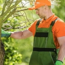 Camelia Landscaping - Landscape Contractors