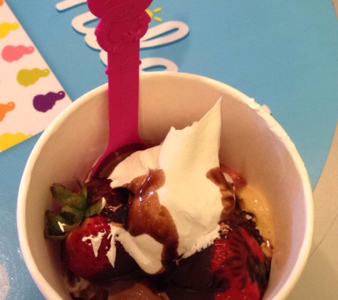 Menchie's Frozen Yogurt - Belmont, CA