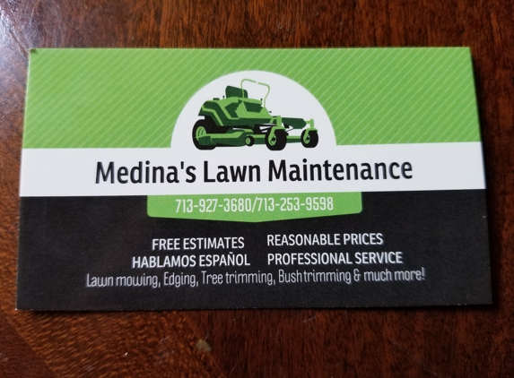 Medina's lawn Maintenance - Houston, TX