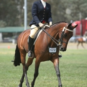 Gallery Image Number 7