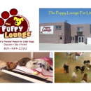 The Puppy Lounge for Little Dogs