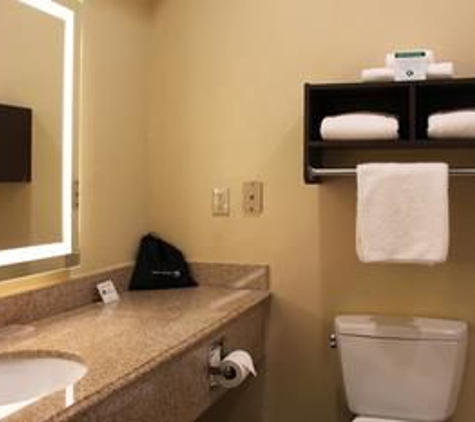 Best Western Plus North Houston Inn & Suites - Houston, TX