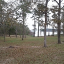 Jackson Hill Cabins - Cabins & Chalets