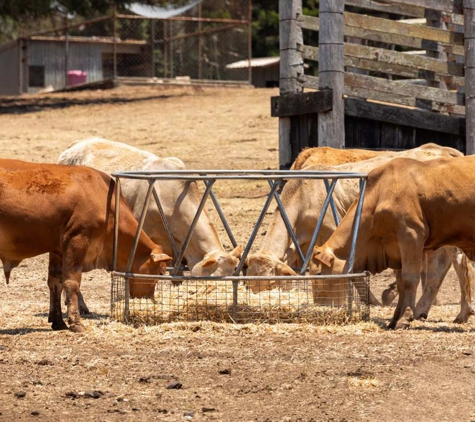 Geelong Farm & Pet - Bell Park, VIC