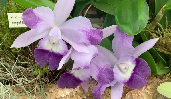 Mesquite Valley Growers Nursery - Tucson, AZ