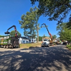 Chop & Drop Tree Service