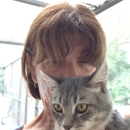 Trinity Pet Hospital - Pet Services