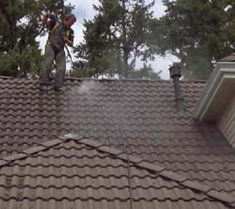 Winter Garden Roof Repair - Winter Garden, FL