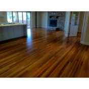 Gallery Image Number 2