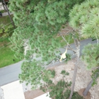 One Healthy Tree Care LLC