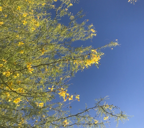 Tumbleweed Recreation Center - Chandler, AZ