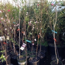 JRN Nursery 2 - Nurseries-Plants & Trees
