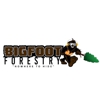 Bigfoot Forestry - Maiden gallery