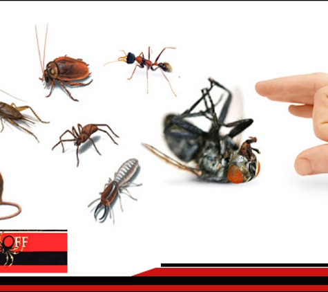 GV Pest Off - Shepparton, VIC. Free Pest Appraisals