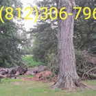 J & J Tree Service & More