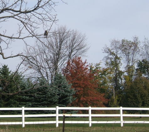 Aaa Fence LLC - Grand Rapids, MI