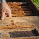 Biversal Pest Control - Pest Control Equipment & Supplies