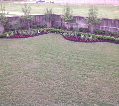 Adi Landscaping & Tree Service - Houston, TX