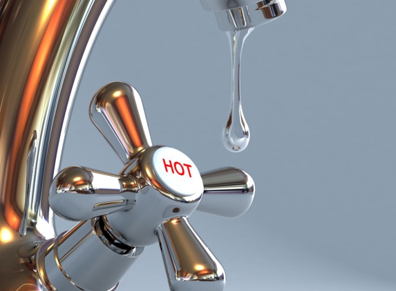 Renne's Plumbing Service