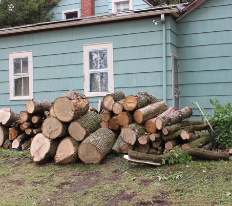 Wolf's Tree Service. They stacked the wood nicely for us