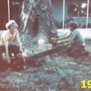 Chapman's Expert Tree Service - Tree Service