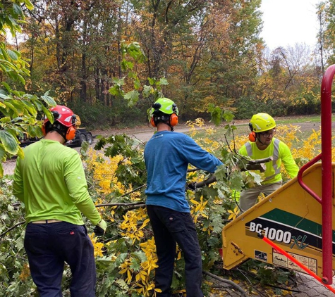 T & T Tree Service