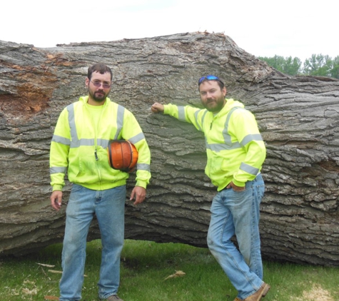 Matt's Tree Service