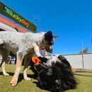 Luckydog Day & Night Care - Pet Boarding & Kennels