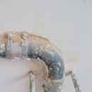 Sam & Sons Drain Service - Plumbers