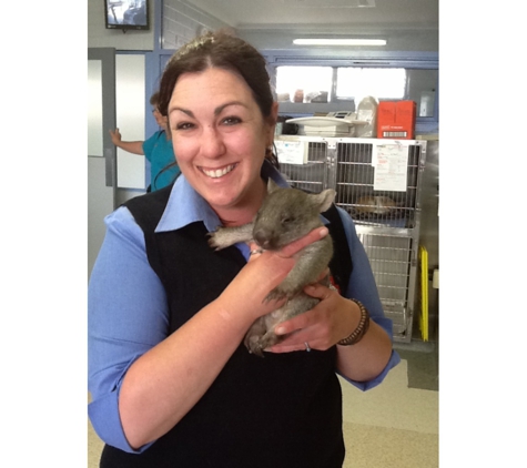 Animal Medical Centre Veterinary Hospital - Launceston, TAS