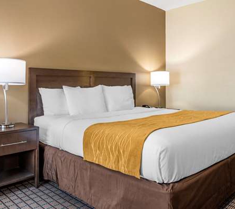 Comfort Inn & Suites - Cincinnati, OH