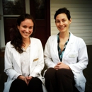 Blue Heron Acupuncture and Apothecary - Massage Therapists