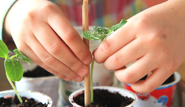 The Discovery Garden Early Education, Care and Preschool - Floraville, NSW
