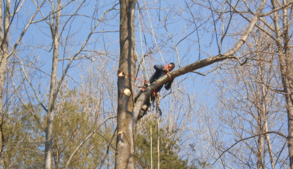 Ace's Tree Service Inc. - Fredericksburg, VA