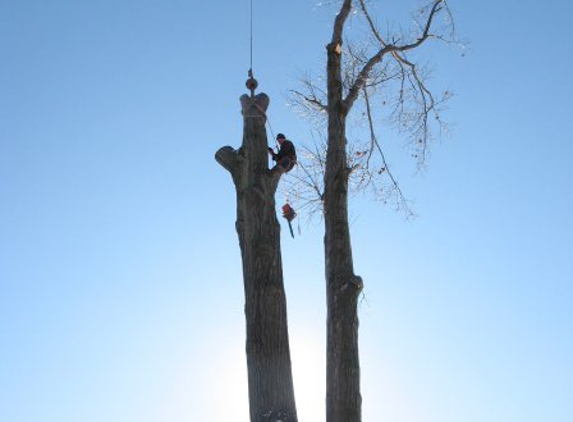 Greg's Tree Services