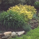 Jardin Landscaping & Lawn Care - Landscaping & Lawn Services