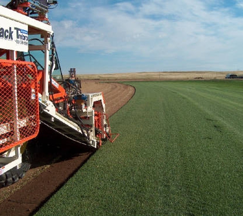 Blue Ribbon Sod - Cheyenne, WY