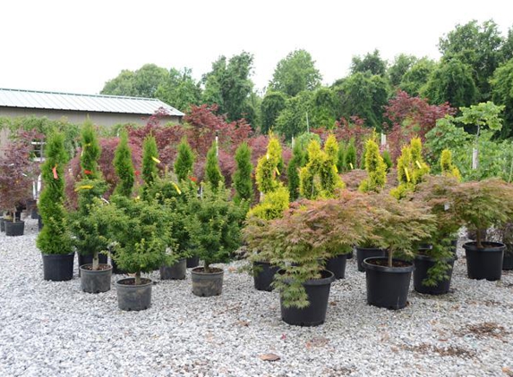 Edwards Nursery - Paducah, KY