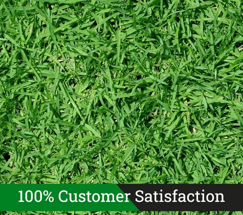 Auspower Forest and Garden - Bayswater, VIC. 100% Customer Satisfaction