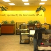 County Spca Erie gallery