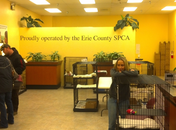 County Spca Erie - Buffalo, NY