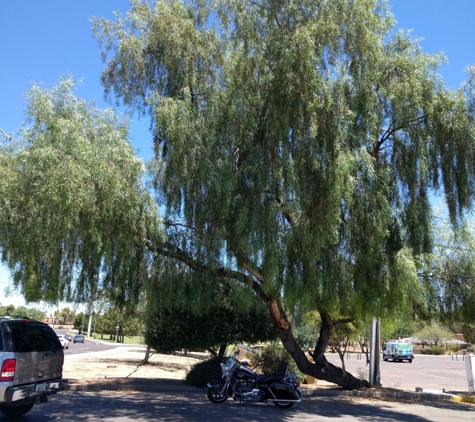 Indian School Park - Scottsdale, AZ