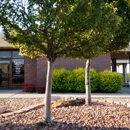 Golden Belt Bank - Commercial & Savings Banks