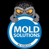 Mold Solutions by Cowleys gallery