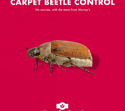Murray Pest Control - Magill, SA