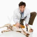 Country Pet Hospital - Veterinary Clinics & Hospitals