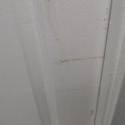 Gallery Image Number 4